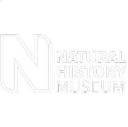 Andrea Hart – Natural History Museum